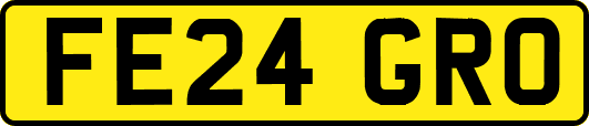 FE24GRO