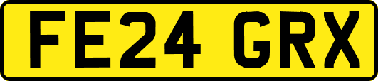 FE24GRX
