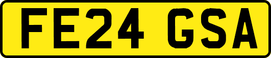 FE24GSA