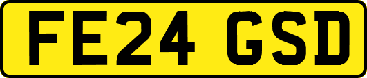 FE24GSD