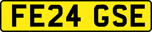 FE24GSE