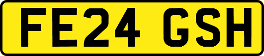 FE24GSH