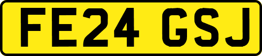 FE24GSJ
