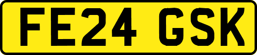 FE24GSK