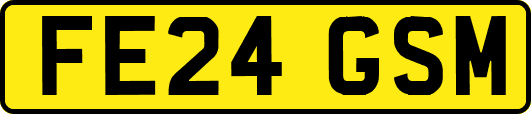 FE24GSM