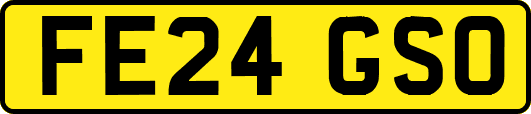 FE24GSO