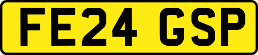 FE24GSP