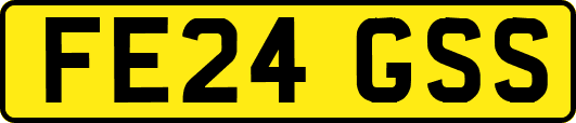 FE24GSS