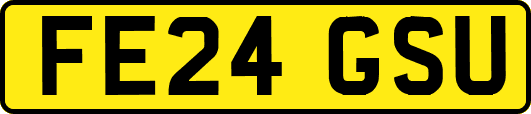 FE24GSU