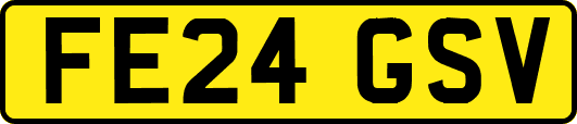 FE24GSV