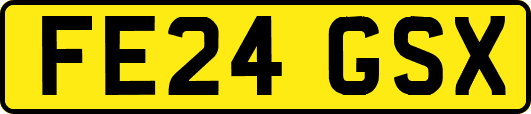 FE24GSX