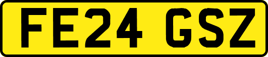 FE24GSZ