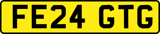 FE24GTG