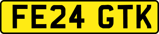 FE24GTK
