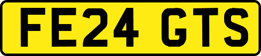 FE24GTS