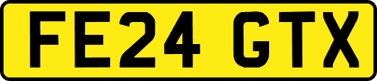 FE24GTX