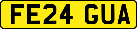 FE24GUA