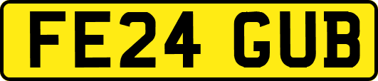 FE24GUB
