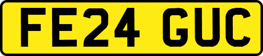 FE24GUC