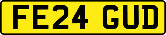 FE24GUD