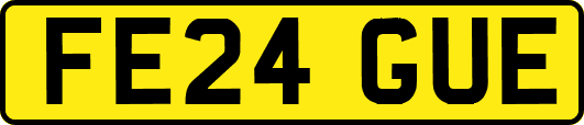 FE24GUE