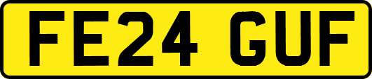 FE24GUF