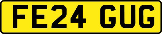 FE24GUG