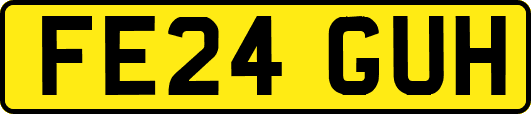 FE24GUH