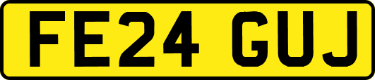 FE24GUJ