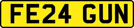 FE24GUN
