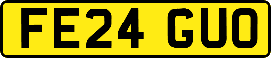 FE24GUO