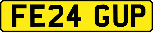 FE24GUP