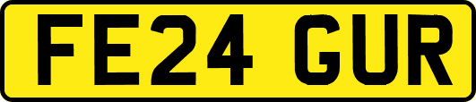 FE24GUR