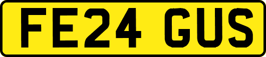 FE24GUS