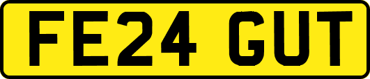 FE24GUT
