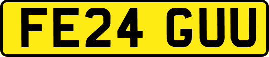 FE24GUU