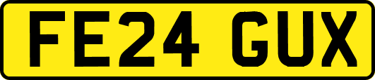FE24GUX