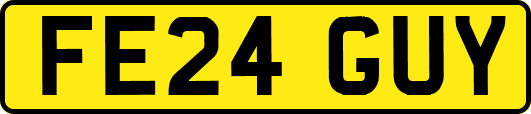 FE24GUY