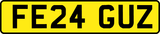 FE24GUZ