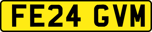 FE24GVM