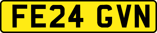 FE24GVN