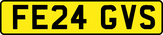 FE24GVS