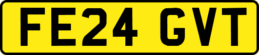 FE24GVT