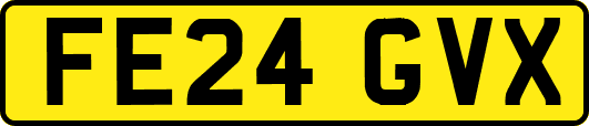FE24GVX