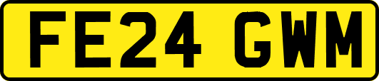FE24GWM