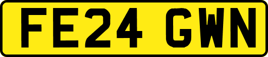 FE24GWN