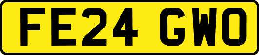 FE24GWO