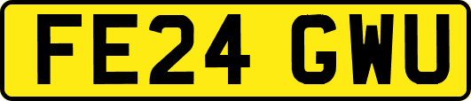 FE24GWU