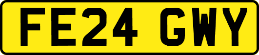 FE24GWY