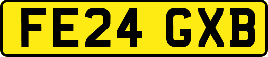 FE24GXB